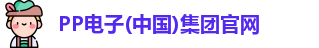 PP电子